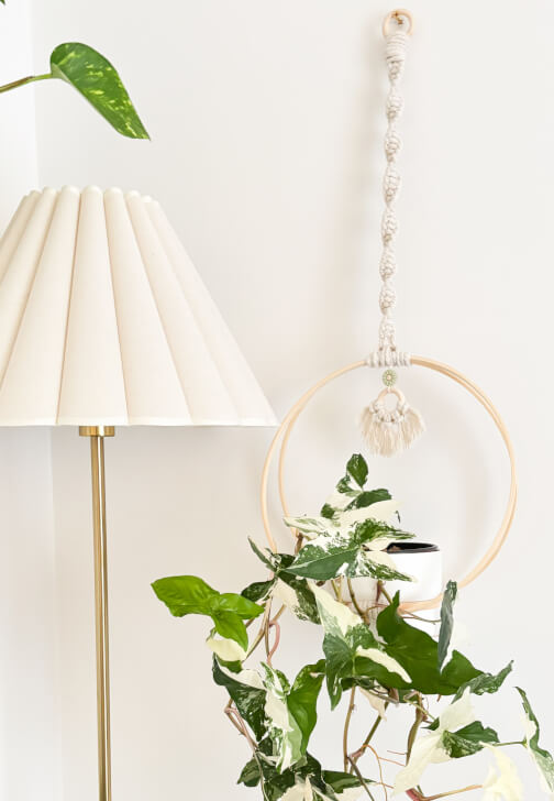 Ivy Plant Hanger Craft Kit