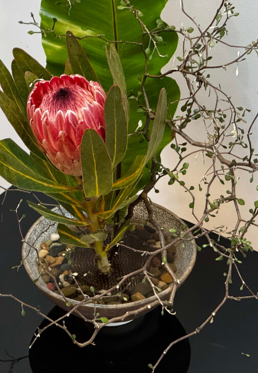 Japanese Ikebana for Men Beginners Workshop