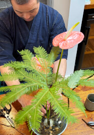 Japanese Ikebana for Men Beginners Workshop