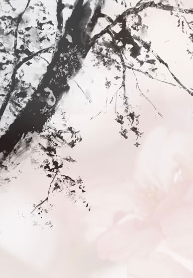 Japanese Ink Painting - Spring Cherry Blossoms