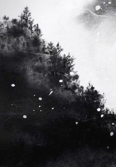 Japanese Ink Painting Workshop