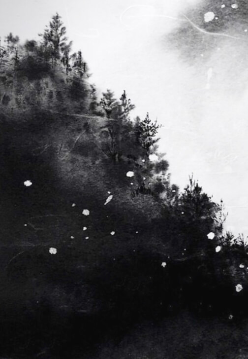 Japanese Ink Painting Workshop