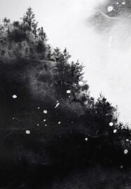 Japanese Ink Painting Workshop