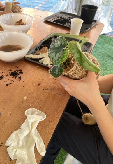 Japanese Kokedama Making Workshop