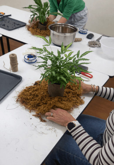 Japanese Kokedama Making Workshop