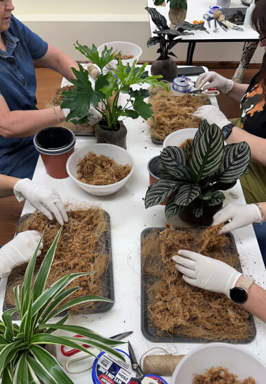 Japanese Kokedama Making Workshop