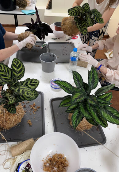 Japanese Kokedama Making Workshop