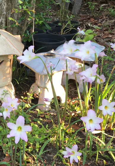 Japanese Lantern Pottery Workshop