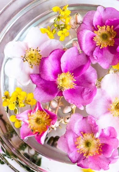 Joyfully Creative Flower Essence and Art Workshop