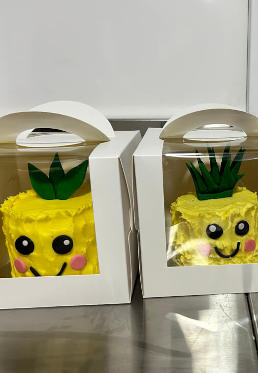Kawaii Cake Decorating Class for Kids
