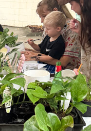 Kids Paint a Pot Workshop - with Plant