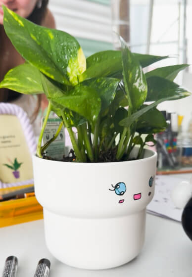 Kids Paint a Pot Workshop - with Plant