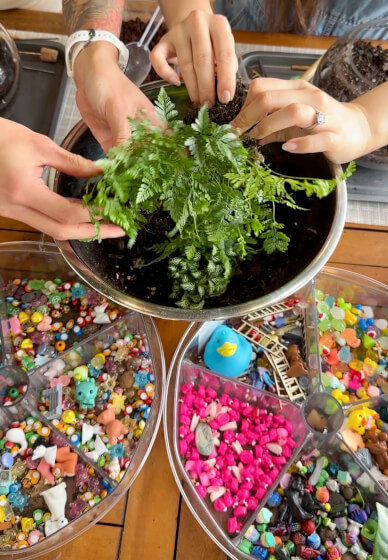 Kids School Holiday Terrarium Building and Pot Painting Class
