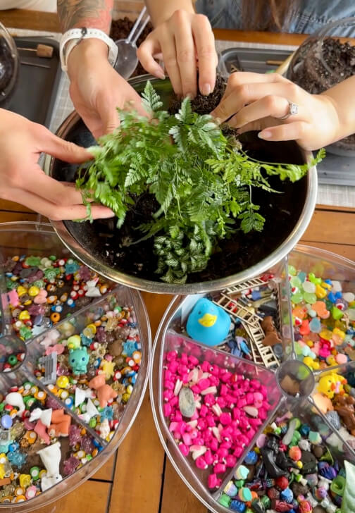 Kids School Holiday Terrarium Building and Pot Painting Class