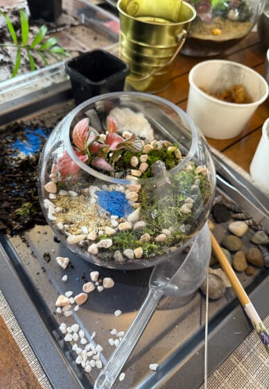 Kids School Holiday Terrarium Building and Pot Painting Class