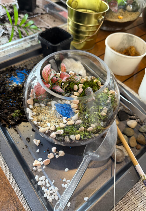 Kids School Holiday Terrarium Building and Pot Painting Class