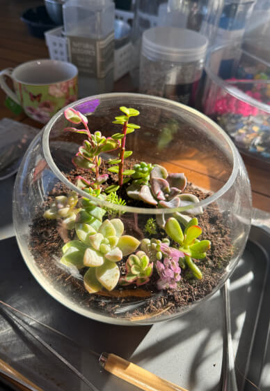 Kids School Holiday Terrarium Building and Pot Painting Class