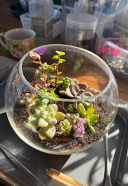 Kids School Holiday Terrarium Building and Pot Painting Class