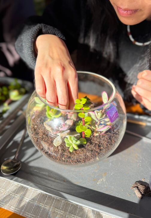 Kids School Holiday Terrarium Building and Pot Painting Class