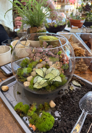 Kids School Holiday Terrarium Building and Pot Painting Class