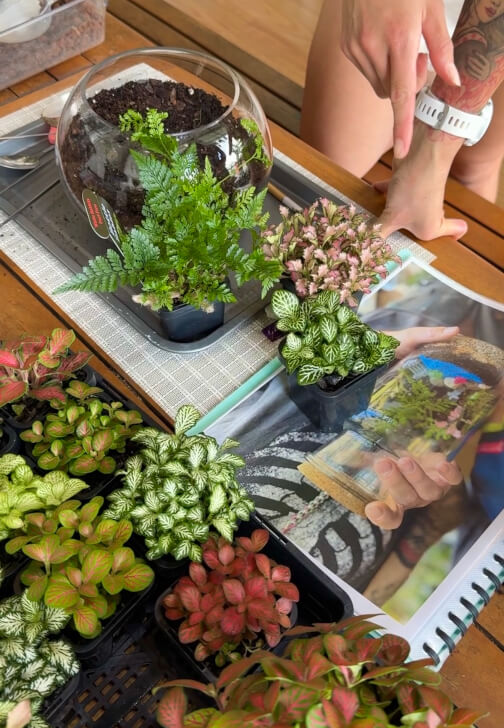 Kids School Holiday Terrarium Building and Pot Painting Class