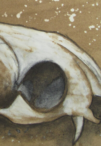 Kids Tues Afterschool Art: 8 Week Course Term 1 2026 (Age 7–12)