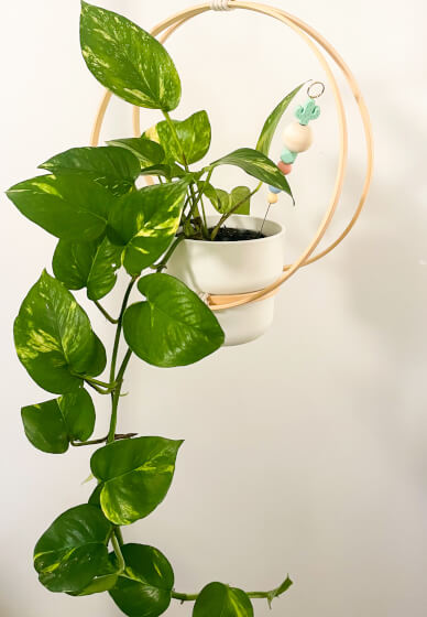 Kids Workshop - Make Your Own Hanging Planter
