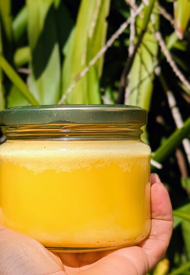 Kitchen Alchemy: Make Ghee and Paneer