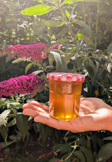 Kitchen Alchemy: Make Ghee and Paneer