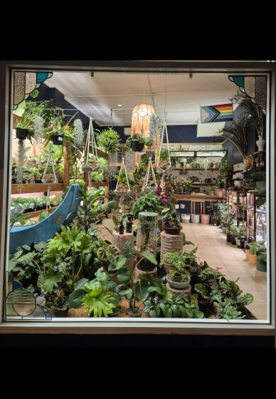 Kokedama and Macrame Workshop