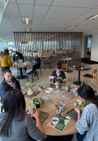 Kokedama Workshop: Create Your Own Moss Ball Magic