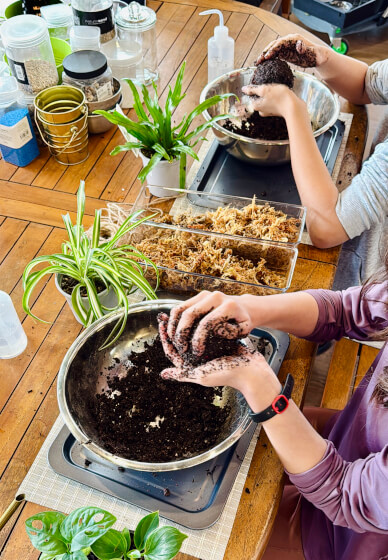 Kokedama Workshop: Create Your Own Moss Ball Magic