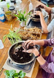 Kokedama Workshop: Create Your Own Moss Ball Magic