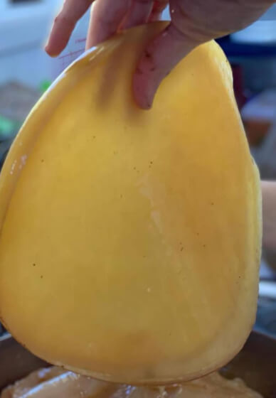 Kombucha Brewing Workshop