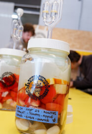 Lacto-Fermented Hot Sauce Workshop