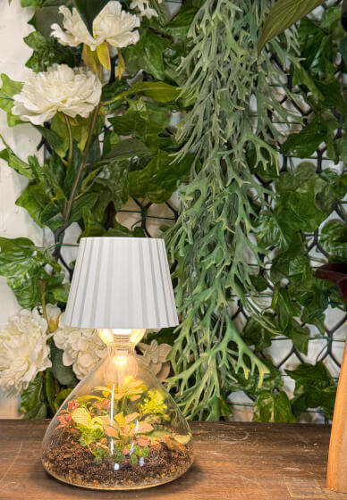 Lamp Terrarium Workshop