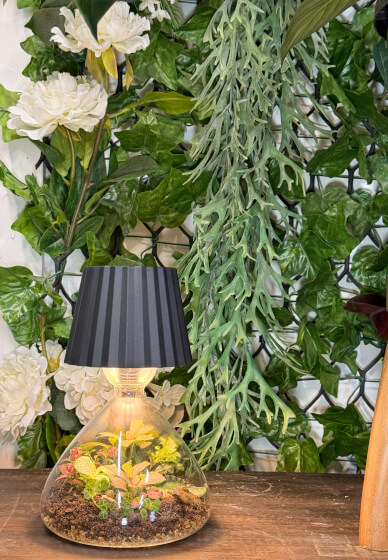 Lamp Terrarium Workshop