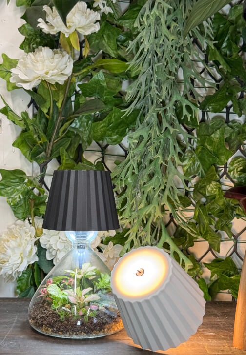 Lamp Terrarium Workshop