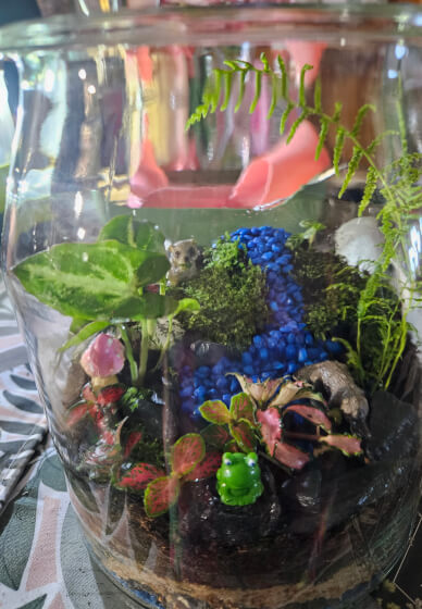 Large Terrarium Making Workshop