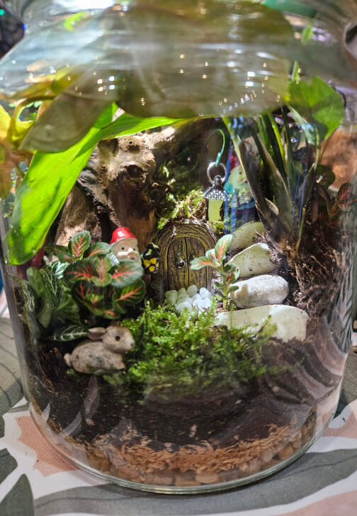 Large Terrarium Making Workshop
