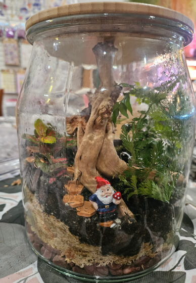 Large Terrarium Making Workshop