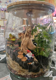 Large Terrarium Making Workshop