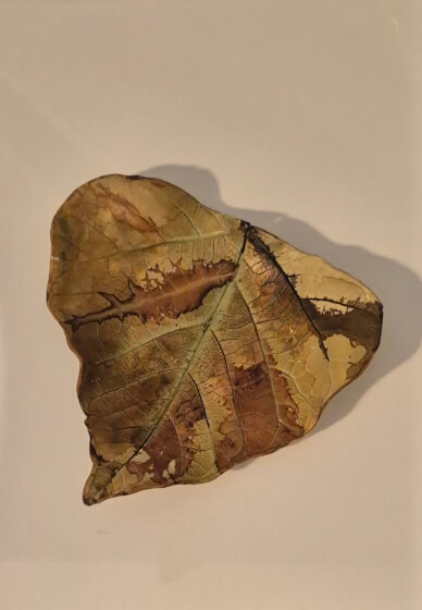 Leafy Bowls Polymer Clay Workshop