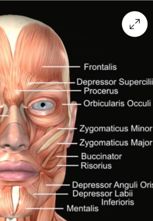 Learn a Face Yoga Ritual: Self-Massage