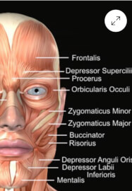 Learn a Face Yoga Ritual: Self-Massage