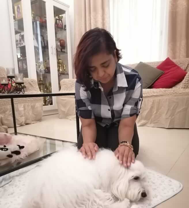 Learn Animal Reiki Healing and Communication