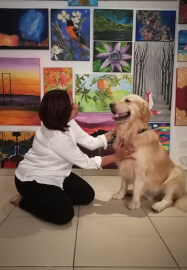 Learn Animal Reiki Healing and Communication