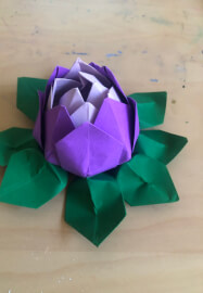 Learn Origami at Home