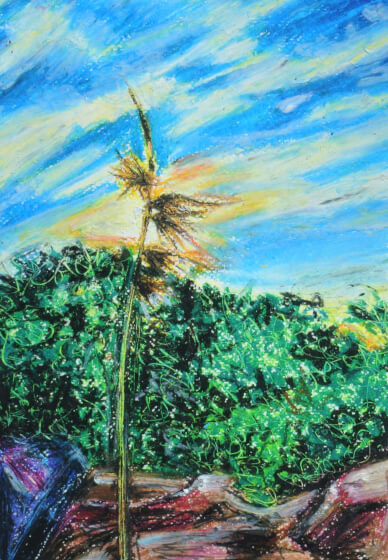 Learn Painting and Drawing: Express Yourself with Colors