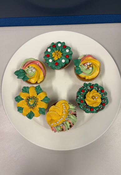 Learn the Art of Cupcake Decoration at Home